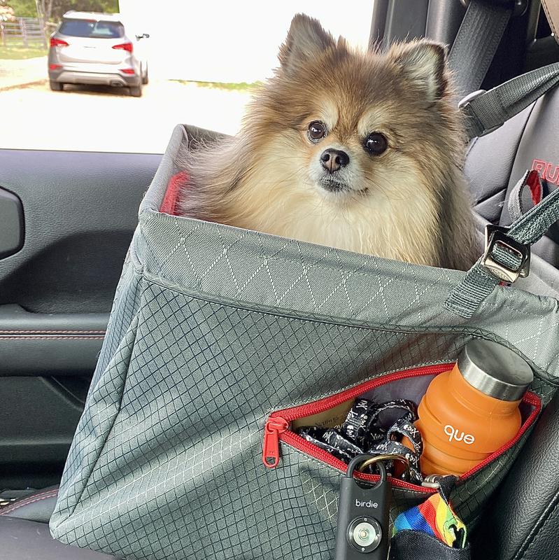 I never leave home without my stuffs