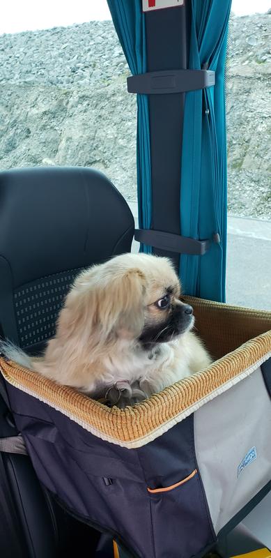 Mia participating in a group tour on a bus