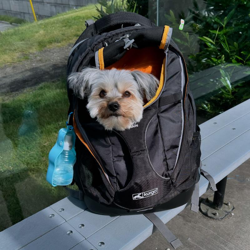 Kurgo dog carrier best sale