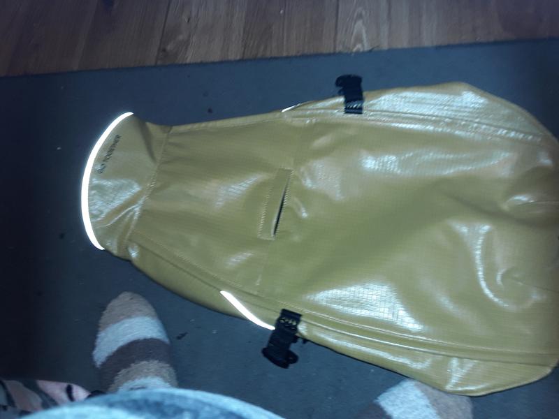 Shows 2 straps and place for leash