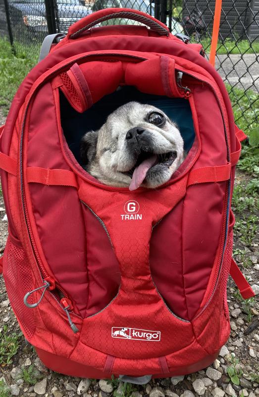 Kurgo G-Train Dog Carrier Backpack, Red