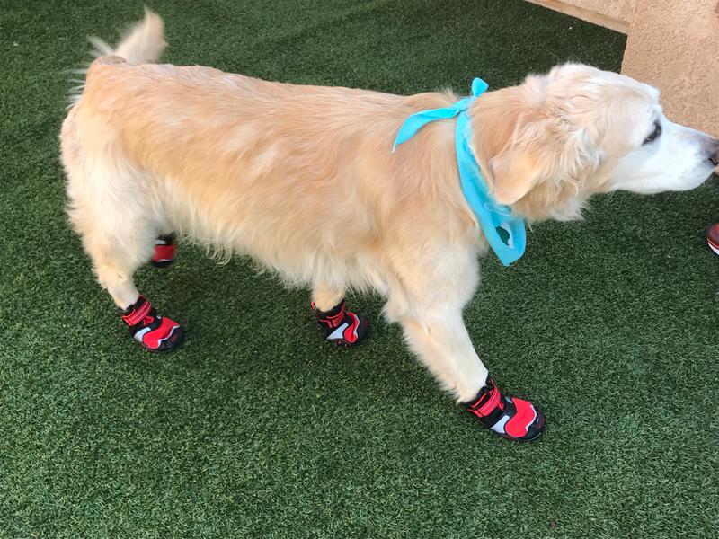 Kurgo Blaze Cross Shoe Dog Boots Dog Shoes Paw Protection