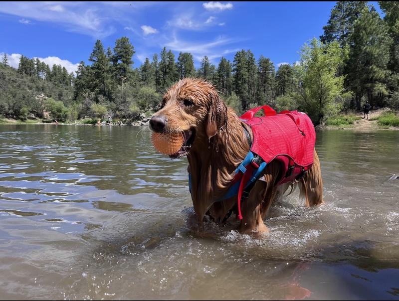 Kurgo Surf N' Turf Dog Life Jacket - Water Vest & Rain Coat For Dogs, Medium Chili Red