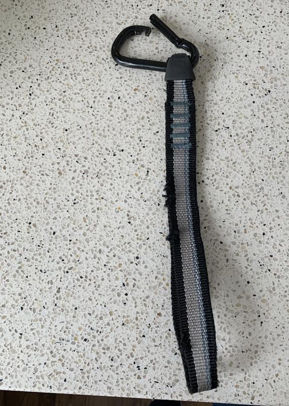 Kurgo Dog Seat Belt Pet Safety Tether with Carabiner, Tru-Fit Enhanced –  Petsense
