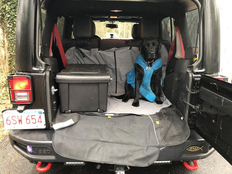 Cargo cover, clean with my dog Vader wearing his new jacket