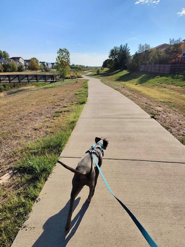 Love going on walkies