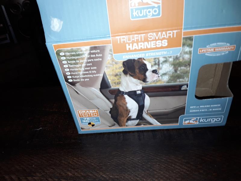 Kurgo Tru-Fit Enhanced Strength Dog Harness - Crash Tested Car Safety –  Petsense