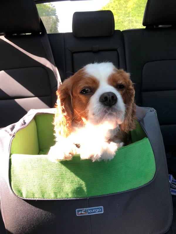 I am so happy in my booster seat
