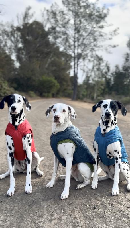 Happy Dals w/ Loft Jackets and Core Sweater