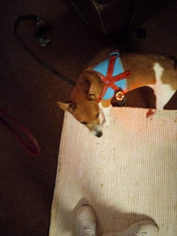 Jethro