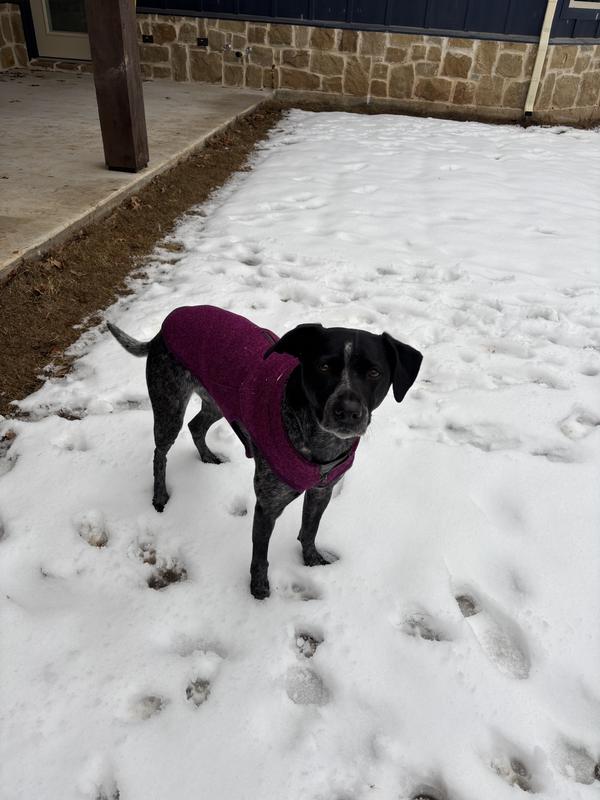 Gracie Lou in a size M