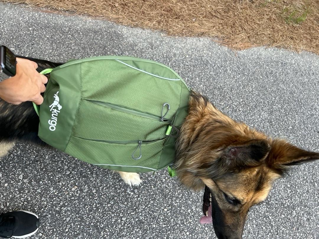 Kurgo Green Cascade Harness, Hiking Backpack for Dogs, Small