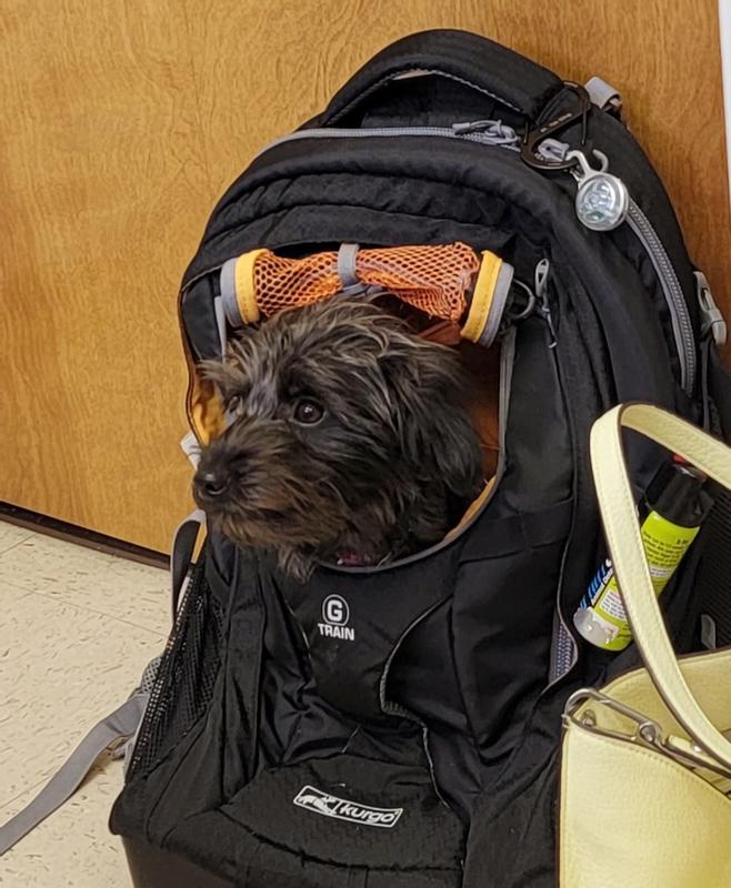 G-Train Dog Carrier Backpack