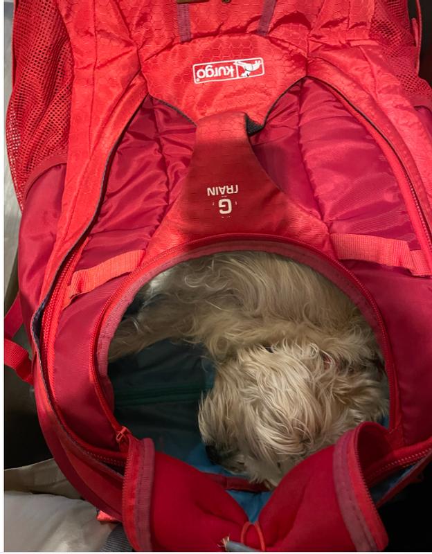 Kurgo G-Train Dog Carrier Backpack, Red