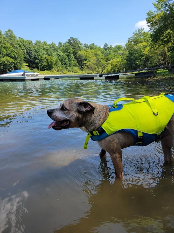 Cabela's dog clearance life jacket