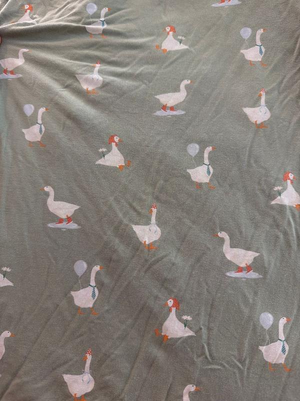 Customer photo for "Silly goose!!"