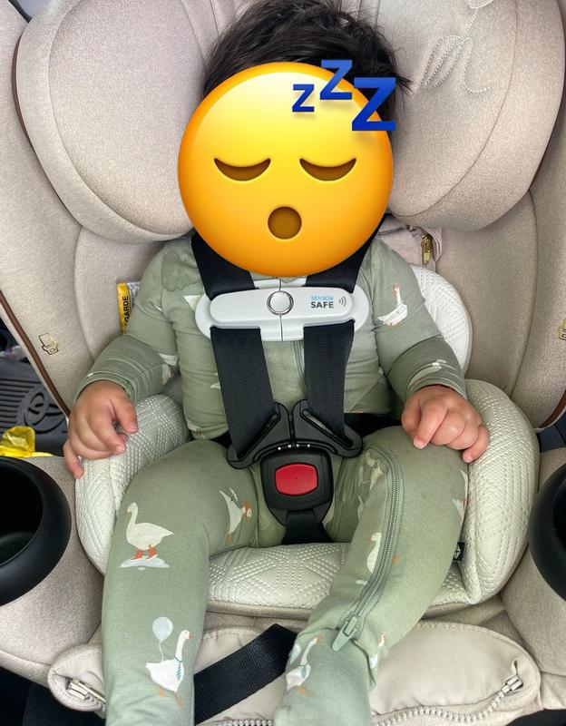 Customer photo for "Silly goose"