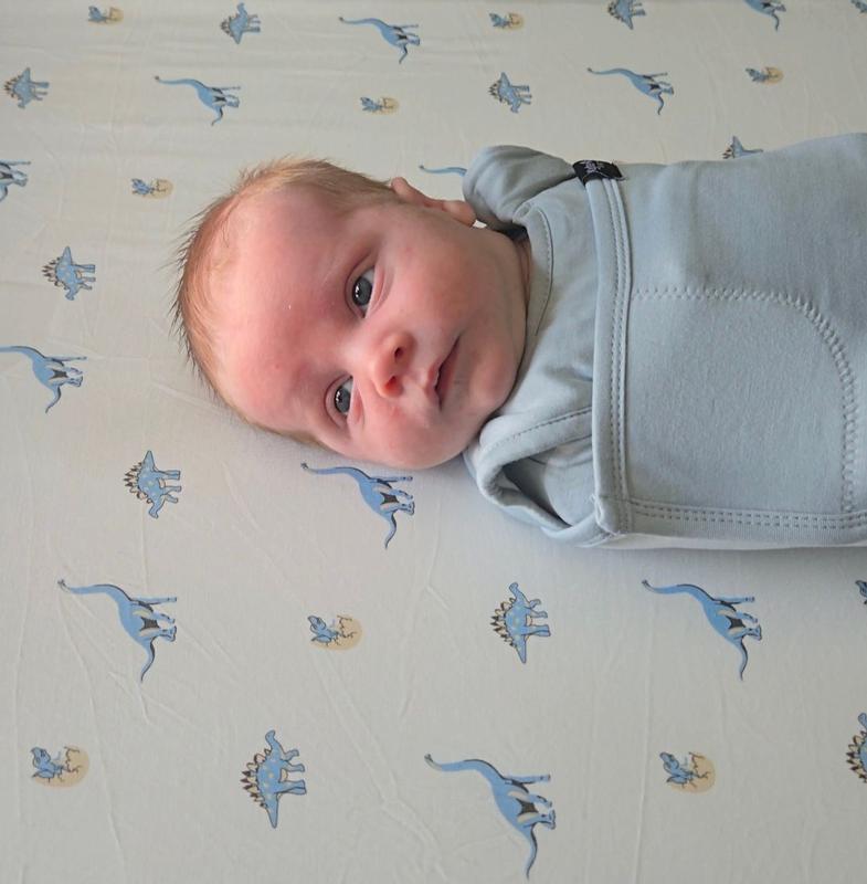 Review Thumbnail Image 0 379138992