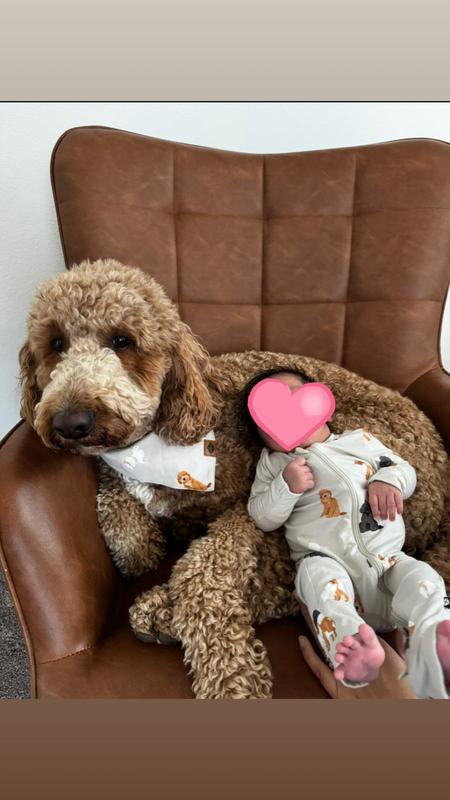 Review Thumbnail Image 0 382633520