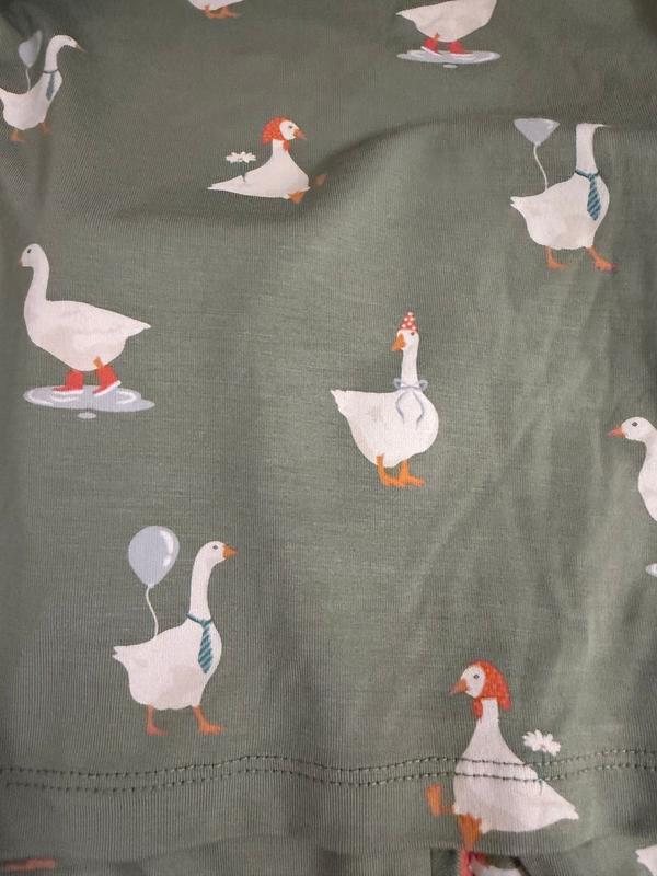 Customer photo for "Silly goose have great details"