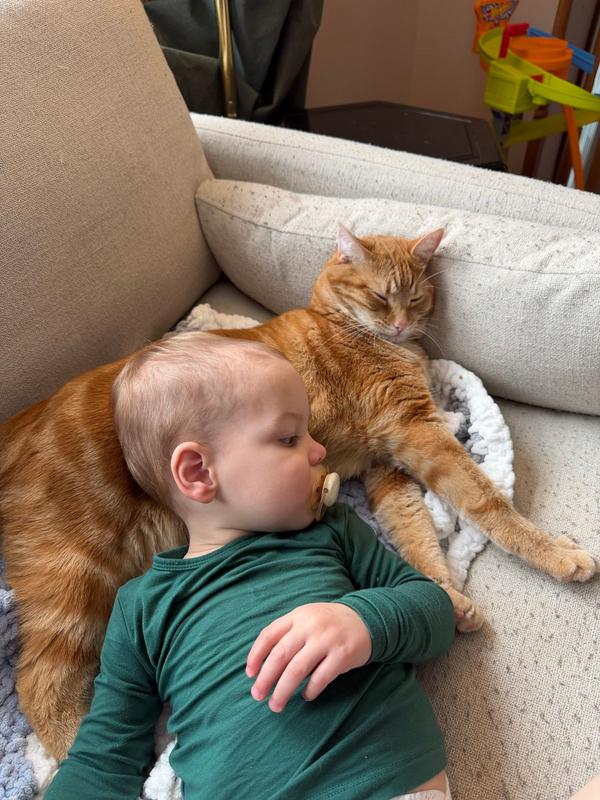 Review Thumbnail Image 0 381822867