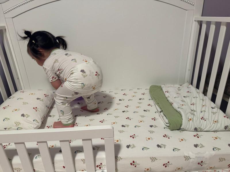 Review Thumbnail Image 0 356243578