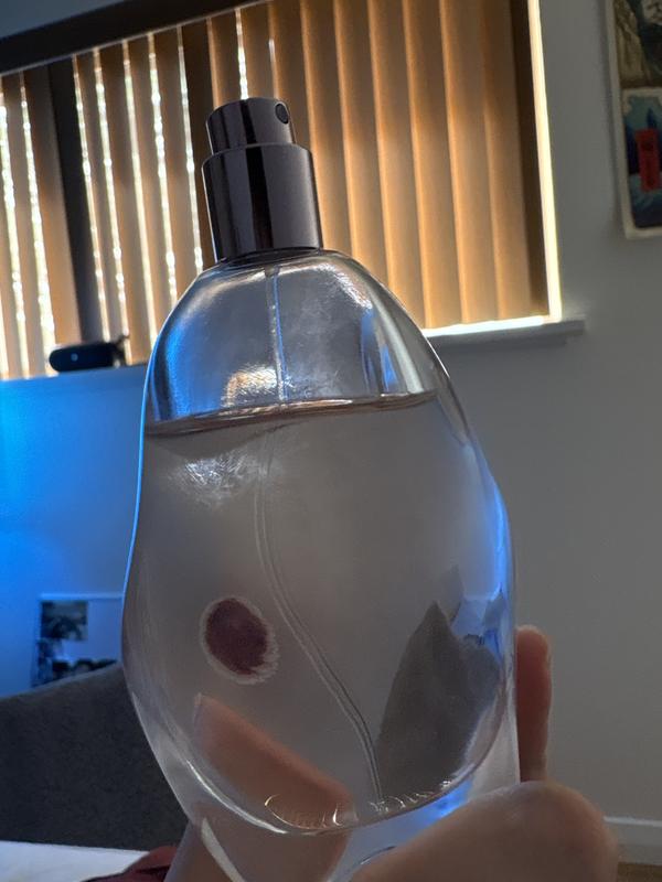 Review Thumbnail Image 5 387513721