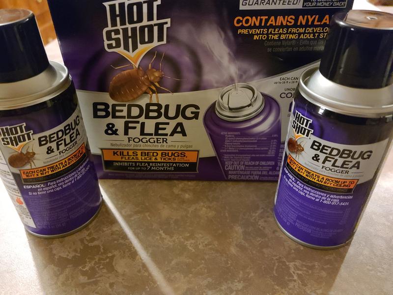 Reviews for Hot Shot Bed Bug and Flea Killer Aerosol Fogger 3 Count Pg 1 The Home Depot