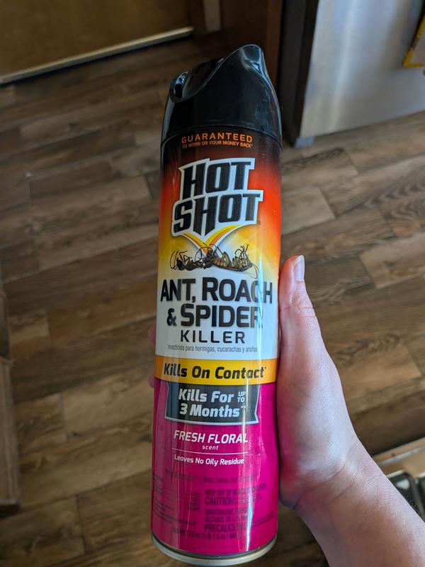 Buy Hot Shot® Roach, Ant & Spider Killer, Fresh Floral, 17.5oz