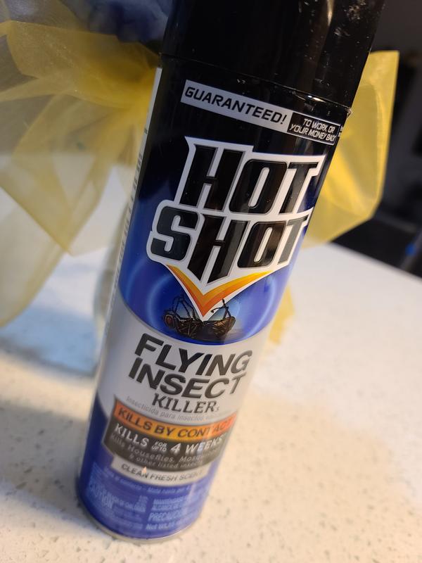 Hot Shot Flying Insect Killer