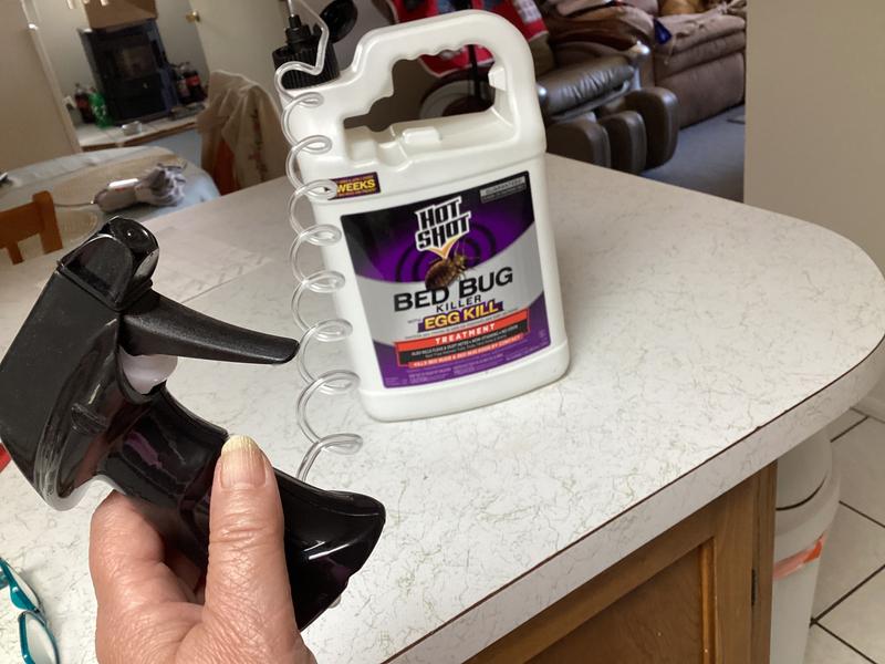 Hot Shot Kills Eggs by Contact 1-Gallon Bed Bug Killer Trigger Spray in the  Pesticides department at