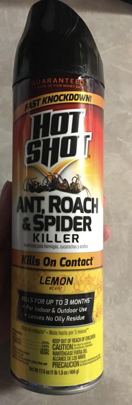 Hot Shot Ant, Roach & Spider Killer, Unscented, Aerosol, 17.5 oz