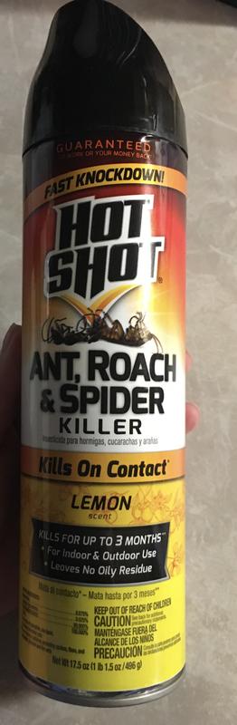 Shop Hot Shot Fresh Floral Scented Aerosol & Liquid Ant Bait