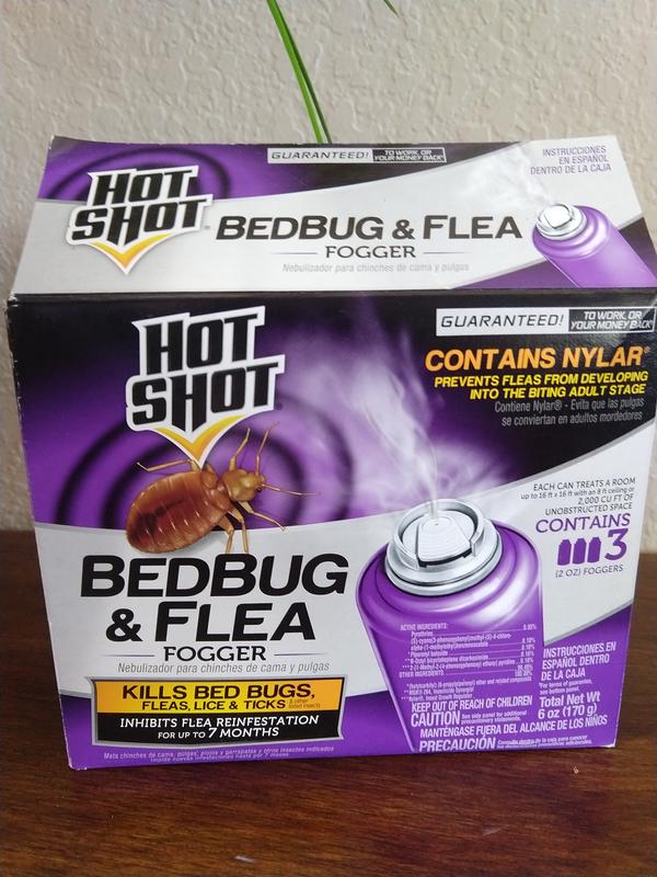 Spectracide Hot Shot Bedbug Flea Fogger 3 Pack