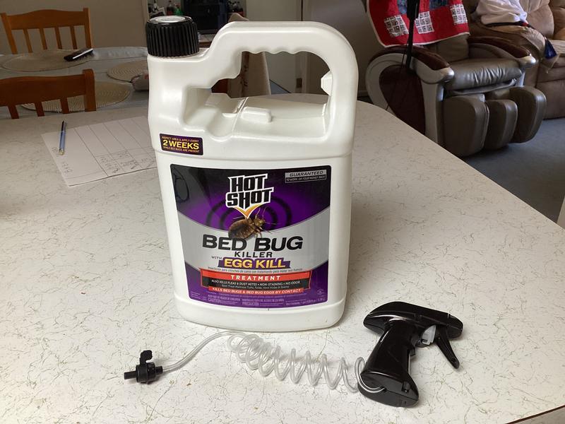 Hot Shot Kills Eggs by Contact 1-Gallon Bed Bug Killer Trigger Spray in the  Pesticides department at