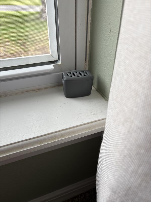 Review photo 1.