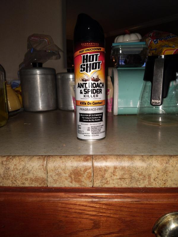 Hot shot ant roach and spider killer