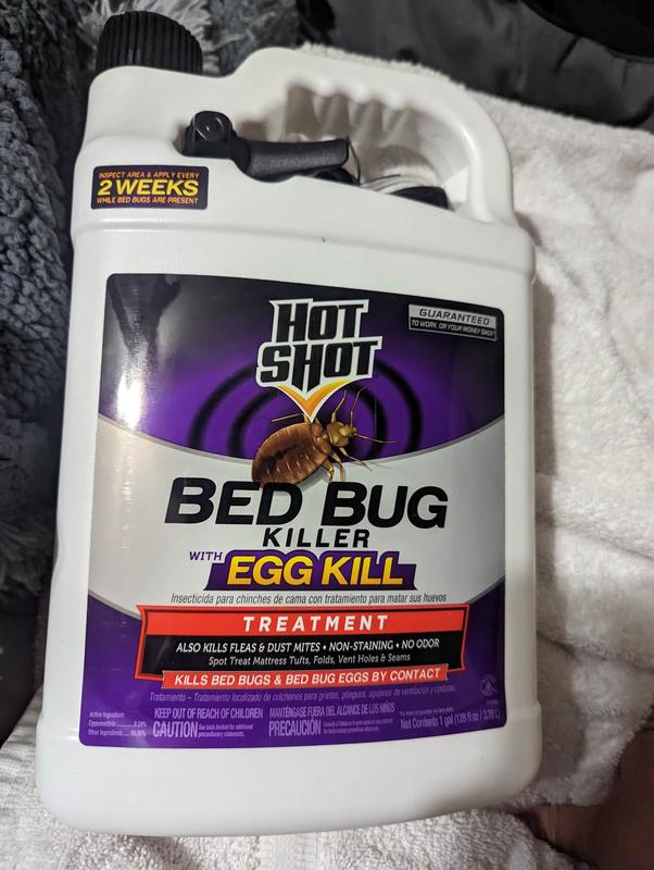 Bed bug 2024 spray lowes