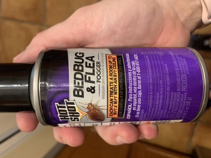 Hot Shot Bed Bug And Flea Killer Aerosol Fogger (3Count), 53 OFF
