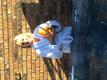 User submitted photo