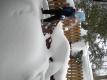User submitted photo