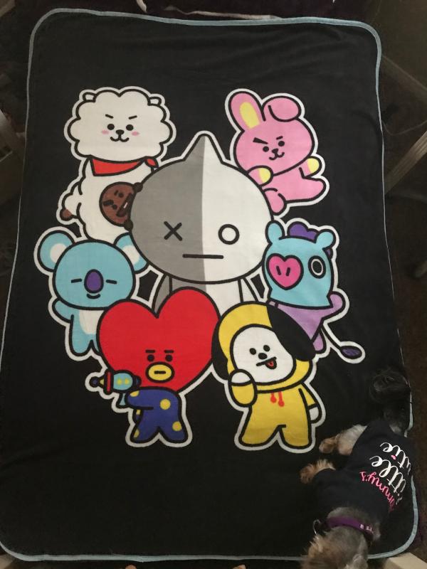 Bt21 blanket hot topic sale