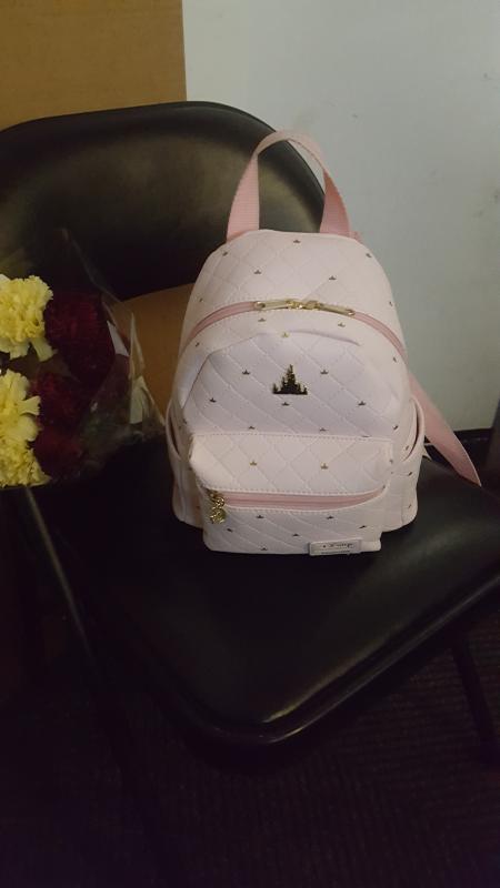 Disney days castle top mini backpack