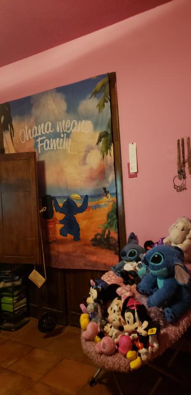 Stitch Ohana Lilo And Stitch Tapestry sold by Kellina Standardized, SKU  24492509