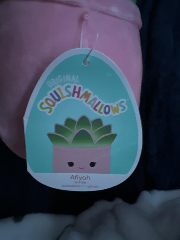 Squishmallows Succulent Assorted Blind Plush | Hot Topic