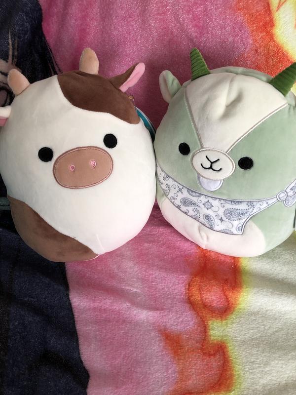 Squishmallow Spring Squad 12 Inch Blind Bag Plush