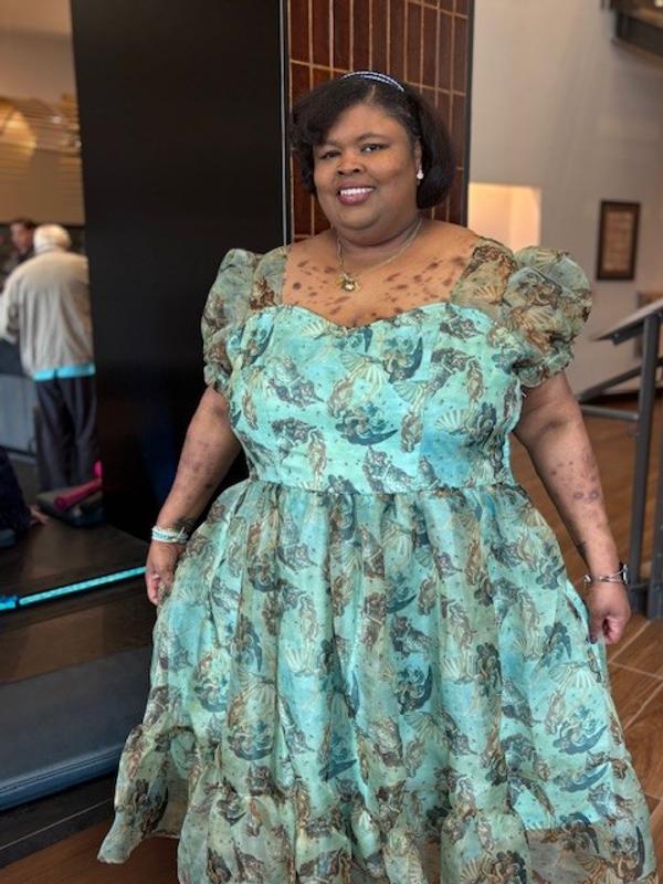 Thorn & Fable The Birth Of Venus Mesh Puff Sleeve Dress Plus Size