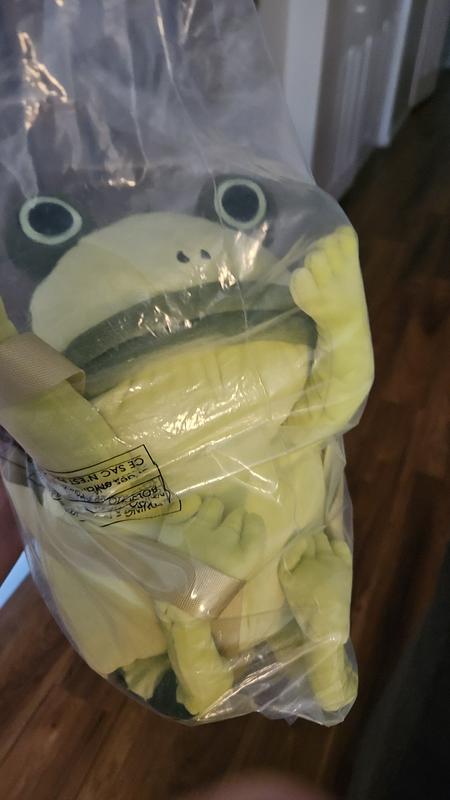 give_me_frog_ページ DSCN0308_a75d1b57-4076-4aee-