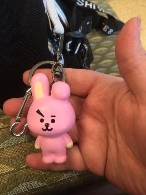 Hot topic 2025 bt21 keychain