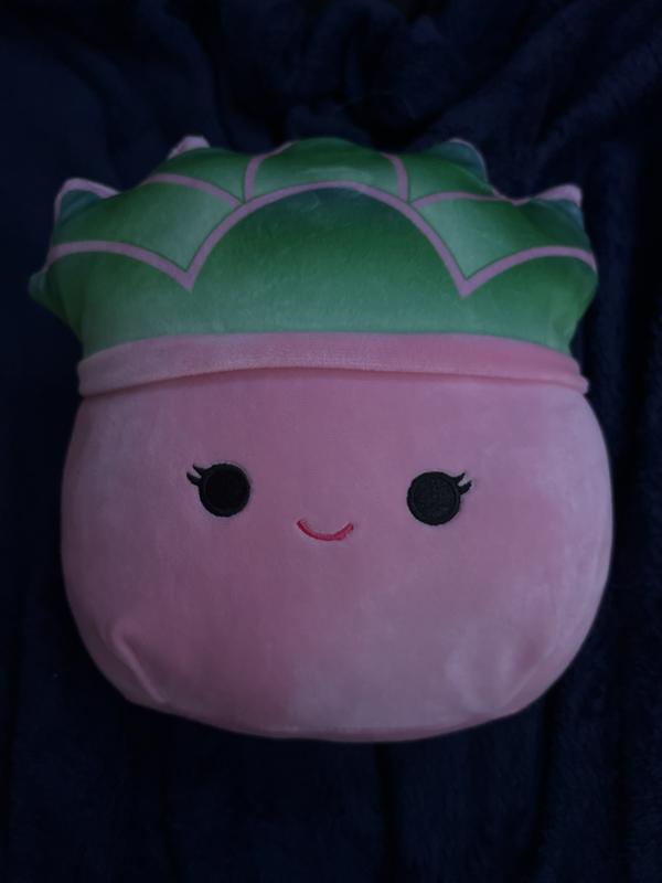 Squishmallows Succulent Assorted Blind Plush | Hot Topic